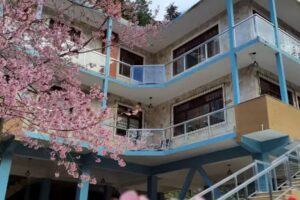 A Casa Ter&ecirc; &ndash; Hospitalidade Afetiva