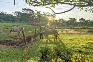 Acesso Pousada Laranjal por Ourinhos