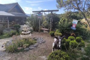 Aconchego Das Flores