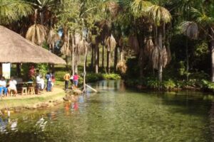Ag&ecirc;ncia e Pousada Est&acirc;ncia da Mata &ndash; Nobres MT