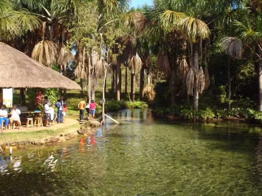 Ag&ecirc;ncia e Pousada Est&acirc;ncia da Mata &ndash; Nobres MT
