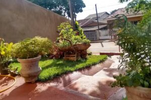 Aldeia Estrela da manh&atilde;