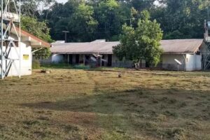 Alojamento Paula Ar&oacute;sio