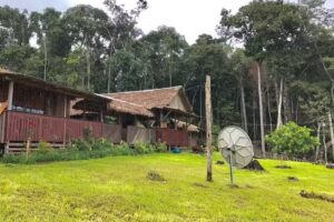 Alto Trombetas Lodge