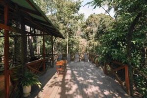 Amazon Camp Lodge Rio Negro