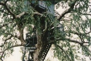 Amazon Island Jungle Lodge