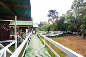 Amazon Roosevelt Lodge