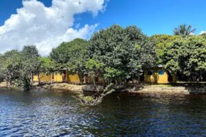 Anaconda Amazon Island
