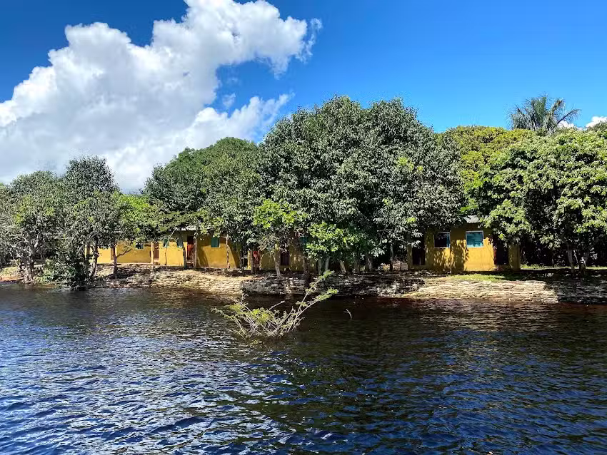 Anaconda Amazon Island