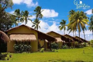 Bangal&ocirc;s do Gameleiro