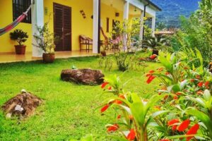 Bardul&rsquo;s House