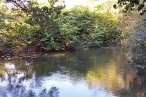 BBB SimpleRooms PA-140 Tomé-Açu PA