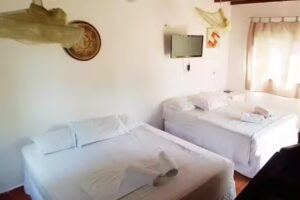 Bouganville | Chal&eacute;s