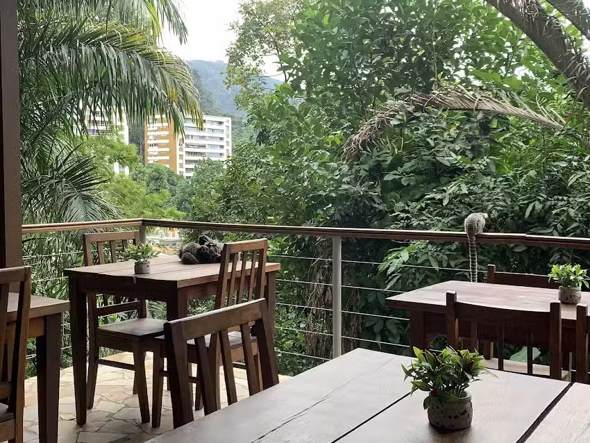 Boutique Hotel G&aacute;vea Tropical