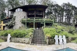 Brom&eacute;lia Sabi&aacute; e Cia