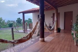 Caminho dos girass&oacute;is