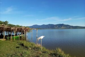 Camping Capim Mombaça