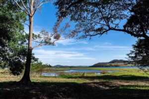 Camping Jaragu&aacute;