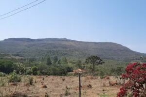 Camping Montanha Sagrada