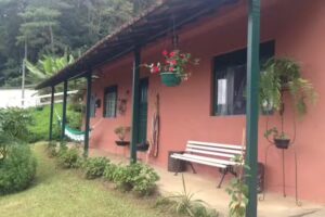 Canto dos P&aacute;ssaros