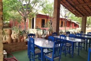 Capivara Resid&ecirc;ncia Art&iacute;stica