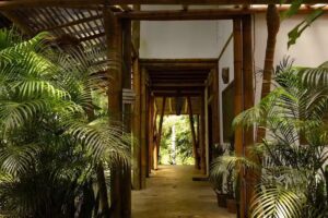 Casa Bambu – Serra Grande