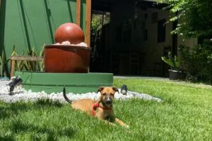 Casa Carmina Terapias