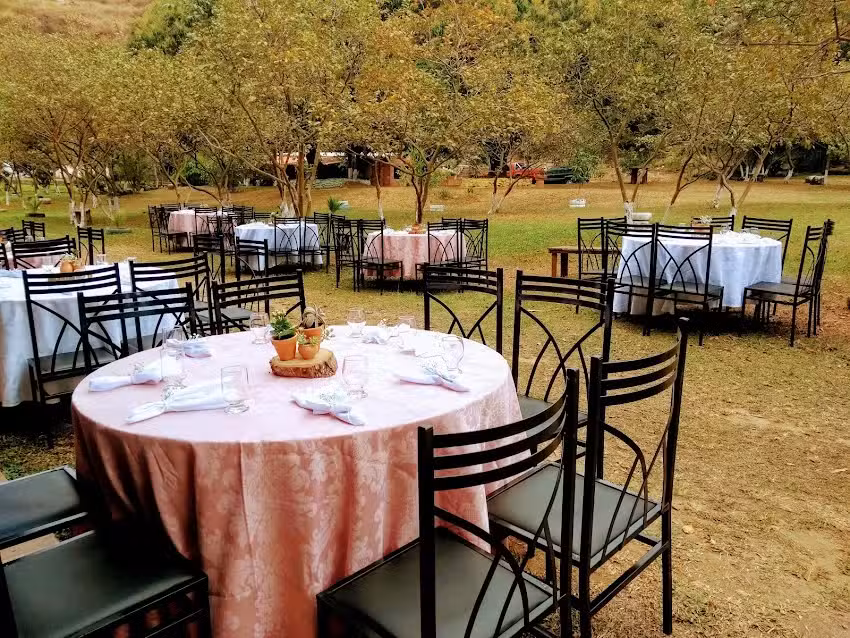 Casa da &Aacute;rvore