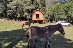 Casa de Montanha na Região de Monte Verde