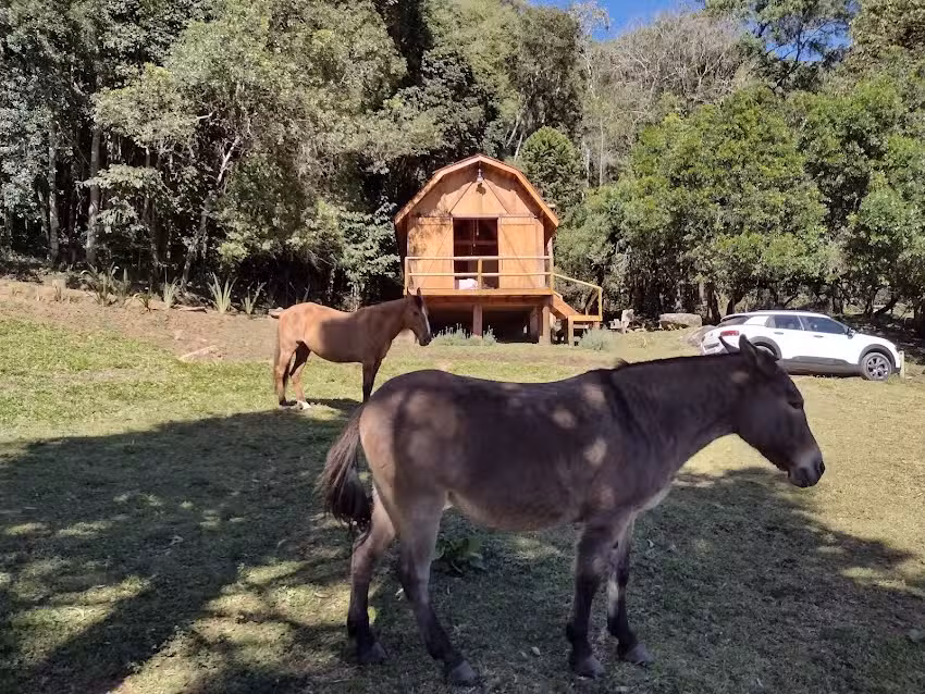Casa de Montanha na Regi&atilde;o de Monte Verde