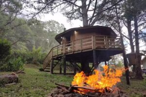Casa na árvore e Rancho Quemeninho