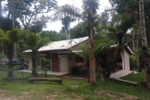 Casa Na Árvore Eventos