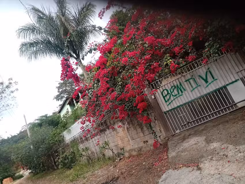 Ch Bem Te Vi