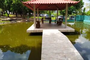 Ch&aacute;cara Nova Vida