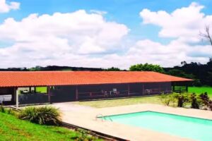 ch&aacute;cara Primaveras