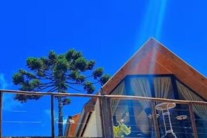 Chal&eacute; Arauc&aacute;ria Campos do Jord&atilde;o