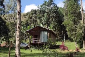 Chal&eacute; beija flor