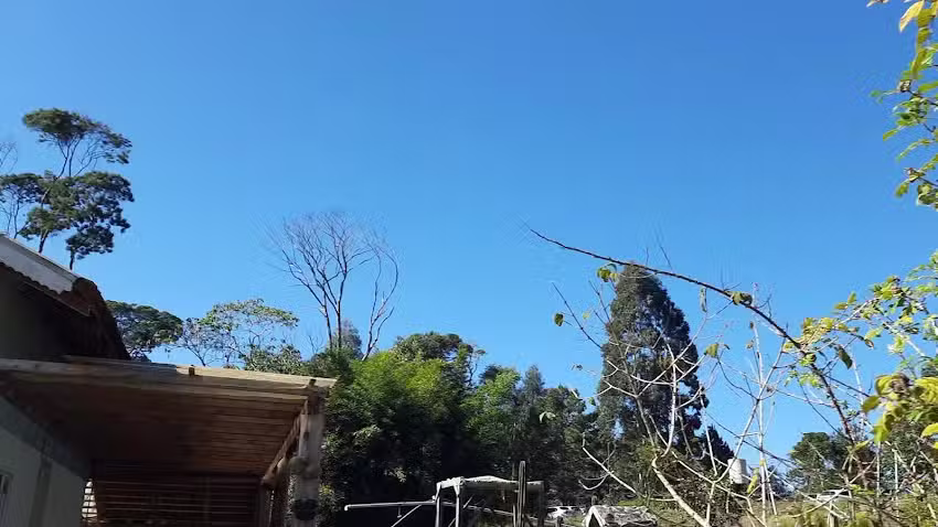 Chal&eacute; Coquerel