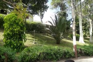 Chal&eacute; da Jaj&aacute;