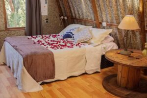 Chal&eacute; das &Aacute;rvores