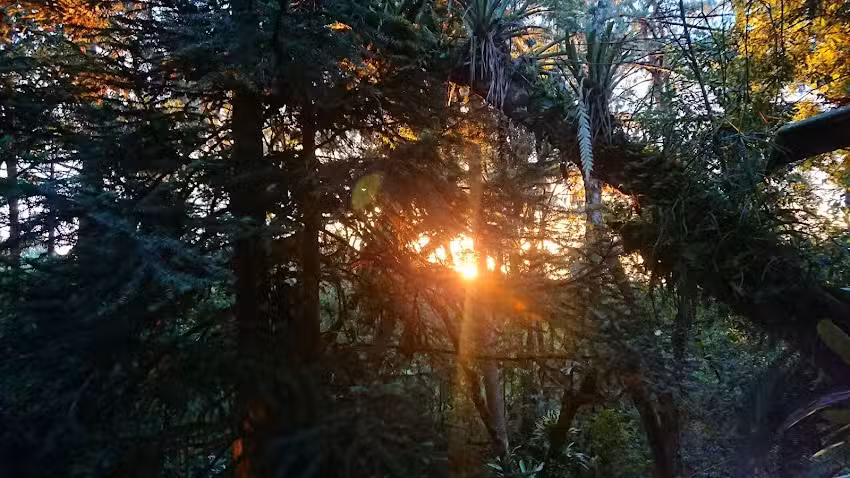 Chal&eacute; Manac&aacute;