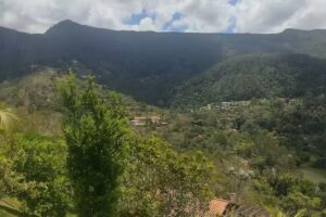 Chal&eacute; Manga Larga