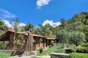 Chal&eacute; Meu Agresthe