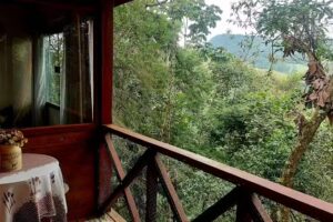 Chal&eacute; nas &aacute;rvores