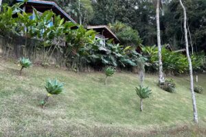 CHAL&Eacute; PARADISO