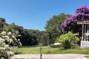 Chal&eacute;s Ibiuna