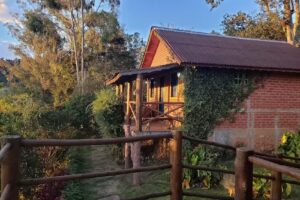 Chal&eacute;s Kayo&aacute;