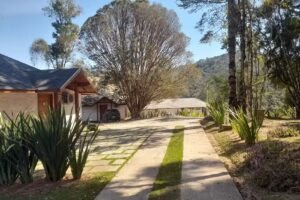 Chal&eacute;s pinha pinh&atilde;o