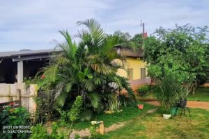 Chal&eacute;s sabor da canastra