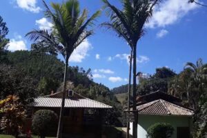 Chez Domaine Pousada Org&acirc;nica